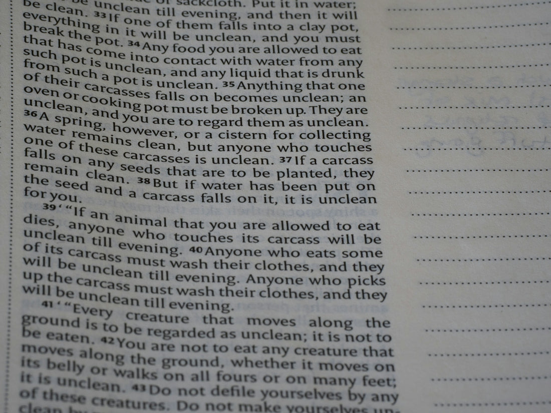 Text in small print on a white book page