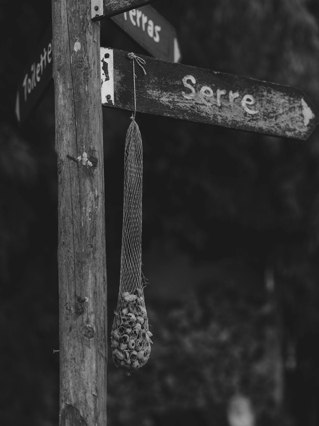 Mesh bag with shells hangs from a rustic signpost