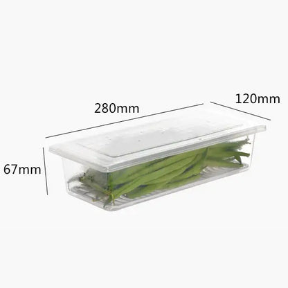 Plastic Kitchen Drain Preservation Box for Seafood & Veggies