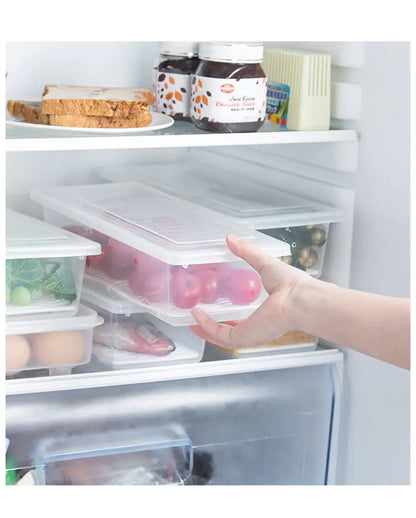 Plastic Kitchen Drain Preservation Box for Seafood & Veggies