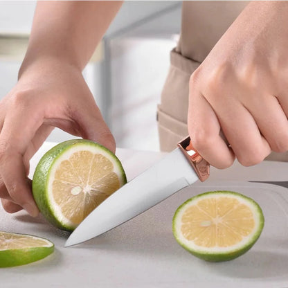 19-Piece Kitchen Knife Set with Knife Holder – Professional High Carbon Stainless Steel Cooking Knives