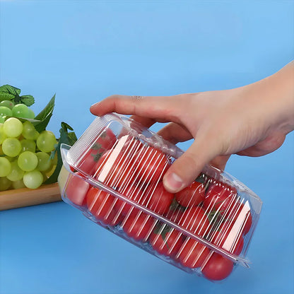 50 & 100 Pack Disposable Pastry Boxes - Super Bowl Dessert Containers for Cupcakes & Cookie Gifting