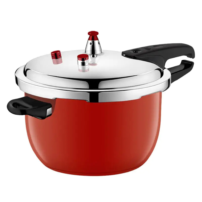 Stainless Steel Pressure Cooker for Gas and Induction