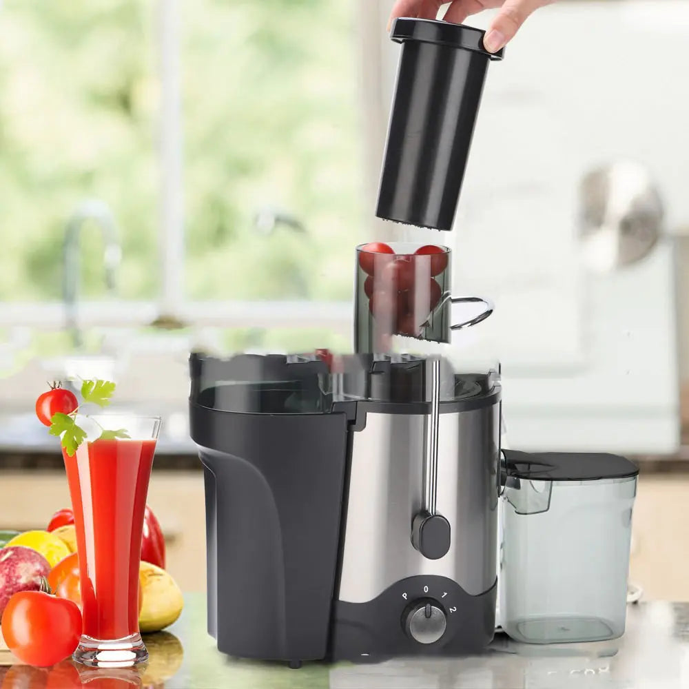Centrifugal Stainless Steel Juice Extractor