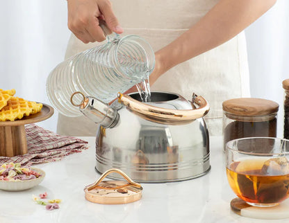 Stainless Steel Whistling Kettle with Golden Handle